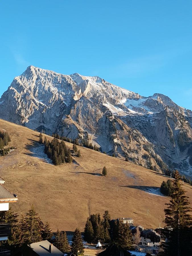Appartement Au Coeur Des Aravis Manigod Eksteriør bilde